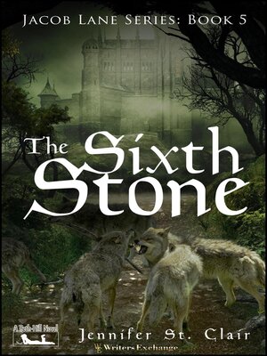 cover image of The Sixth Stone